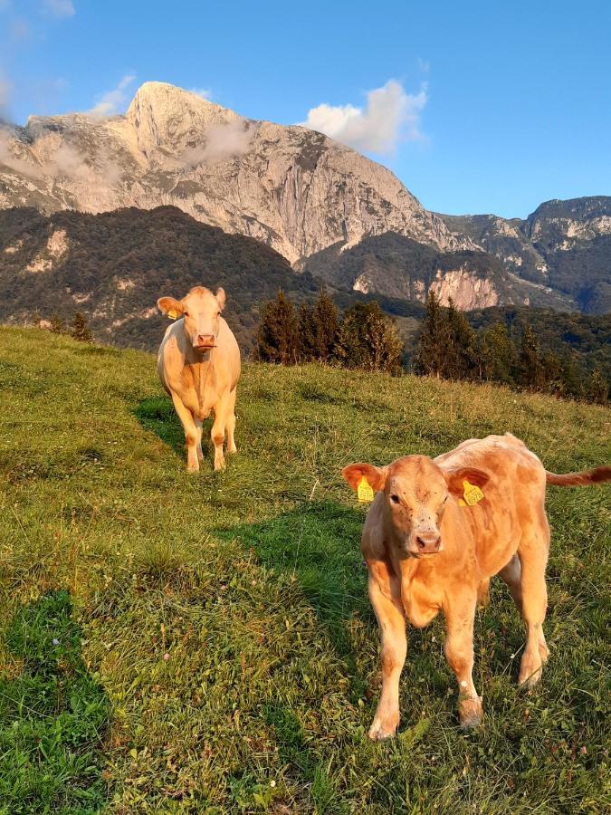 Tourist Farm Zvanc Kobarid Zewnętrze zdjęcie