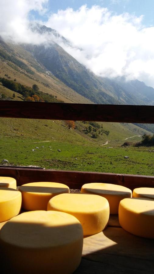 Tourist Farm Zvanc Kobarid Zewnętrze zdjęcie