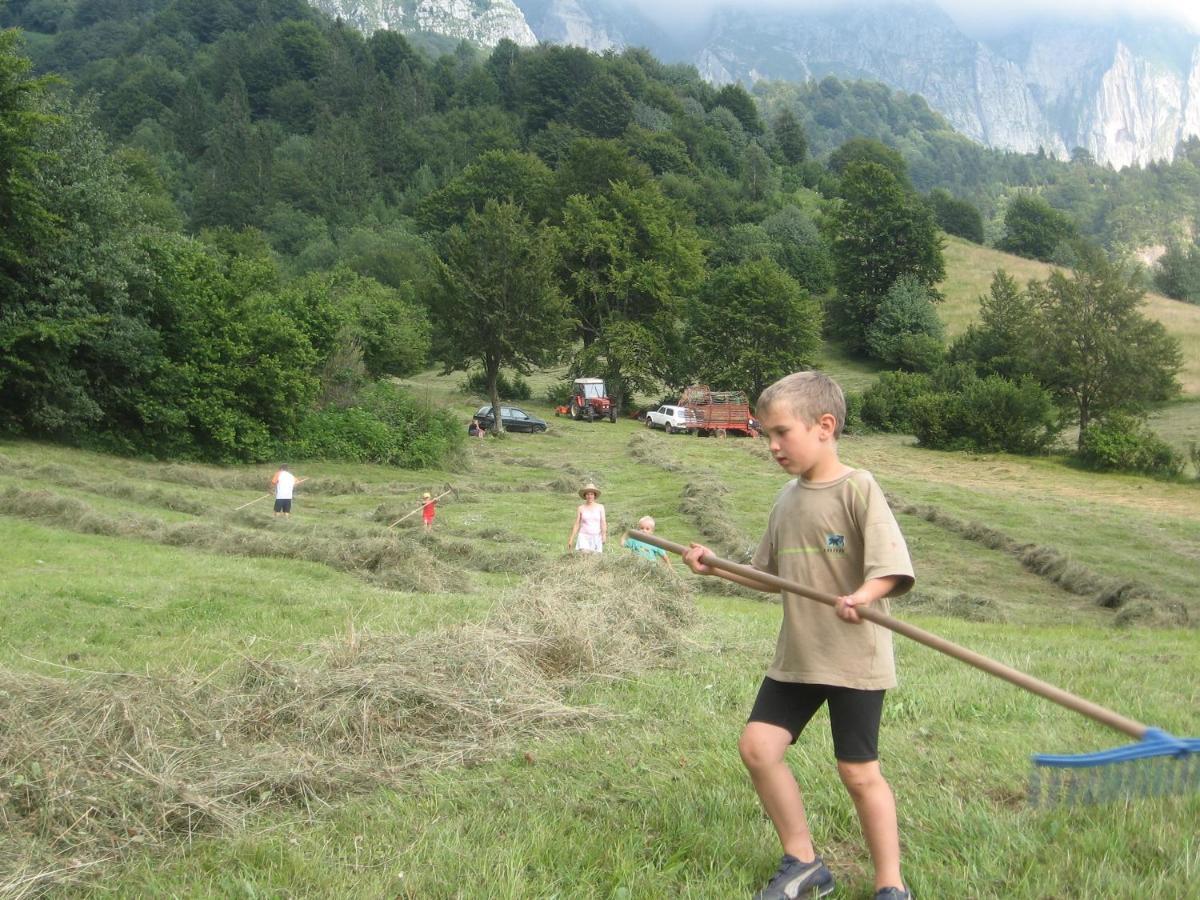 Tourist Farm Zvanc Kobarid Zewnętrze zdjęcie