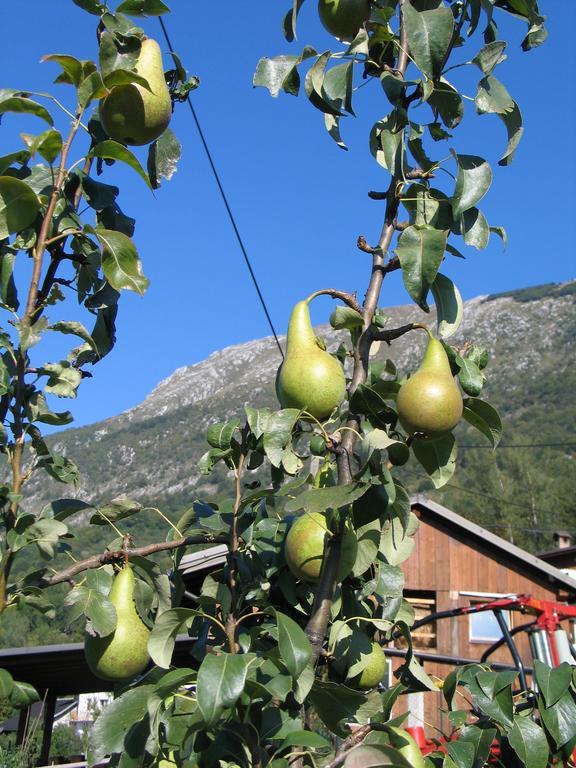 Tourist Farm Zvanc Kobarid Zewnętrze zdjęcie