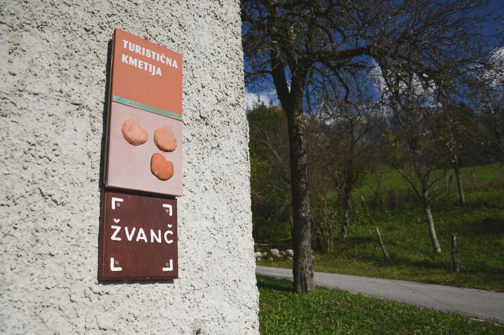 Tourist Farm Zvanc Kobarid Zewnętrze zdjęcie